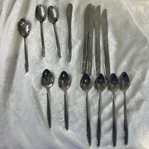 Vintage‎ American Stainless USA 'IS'  14 Piece Lot Of Floral Design Dinner Wear